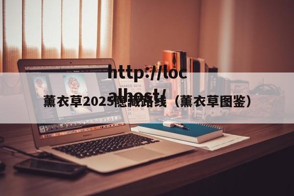 薰衣草2025隐藏路线（薰衣草图鉴）